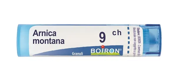 ARNICA 9CH GR 4G