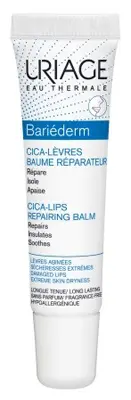BARIEDERM CICA+ LIPS T 15ML