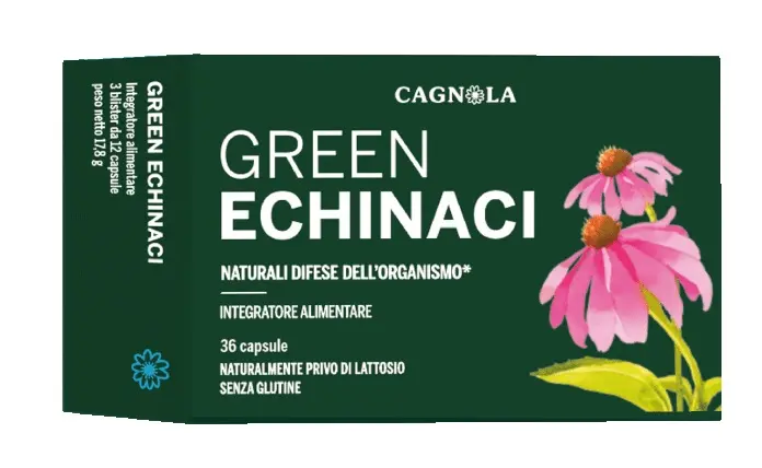 GREEN ECHINACI 36CPS