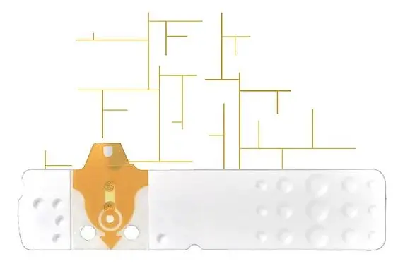 Strisce misurazione glicemia linea d oro 25 pezzi