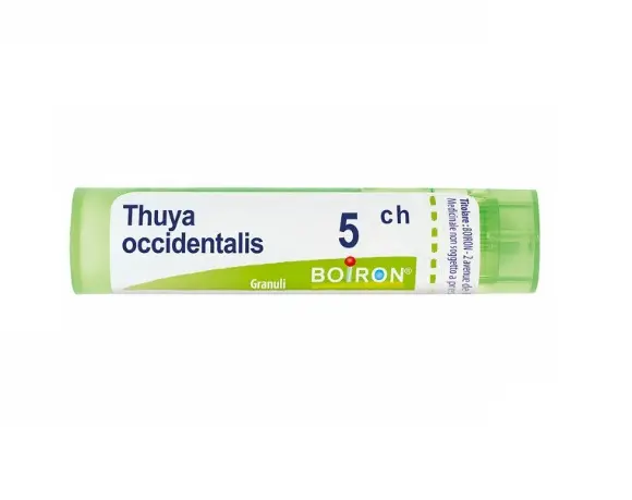 THUYA OCC 5CH GR 4G