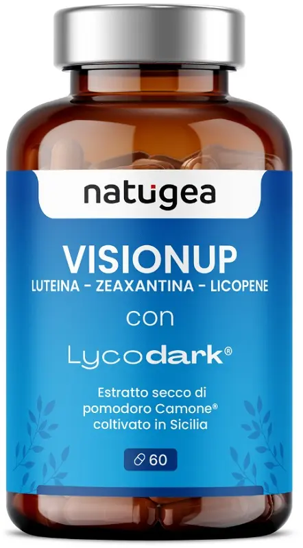 Visionup 60 compresse